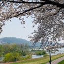 하천(갑천2-1) 이미지