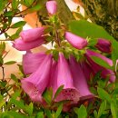 입곡문화공원 이미지