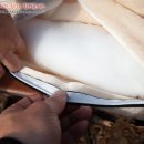 백옥세탁소 이미지