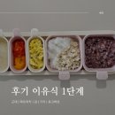 [이유식] 9개월 후기이유식 1단계🥄 :: 근대 | 파프리카 | 김 | 가지 | 표고버섯 | 핑거푸드