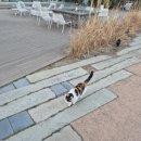 네스트(주) | 영종도 인천공항근처 5성호텔, 1박2일 내돈내산 '네스트호텔' 호캉스후기