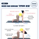 이다캣 이미지