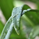 탑 펜션 이미지