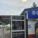 백도오토캠핑장 | 2박3일 강원도 고성 백도오토캠핑장 혼캠후기(2일차,3일차 고성 라벤더축제, 속초 오징어난장,필례...