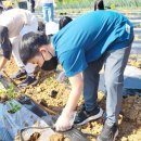 신북초등학교 이미지