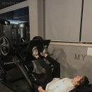 헬스장 하이바디짐 PT STUDIO 울산 북구 신천동 가격 비용 후기 추천