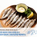 생선이야기 이미지