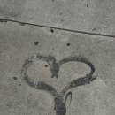 다정한 세계 이미지