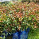 용기농장 이미지