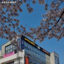슈무커수제맥주 네이버블로그