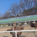 정말농장 이미지