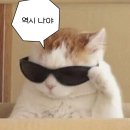 Good Move | “나는 처음부터 그 집에 안 들어갈래” MBTI N들의 회의｜잠실 컬컴 영어회화 후기