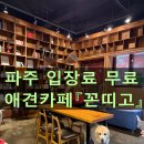 꼰띠고2 | 파주 꼰띠고 애견카페 솔직후기, 대형견이 많았던 카페 (입장료 무료·실내 오프리쉬, 소형견 주의)