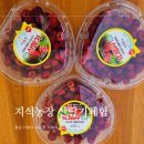 지석농장 | 거제 아이와 가볼만한곳 산딸기체험 지석농장 직접 예약하고 내돈내산 체험후기