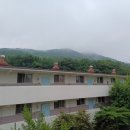 주식회사 뻐꾸기 이미지