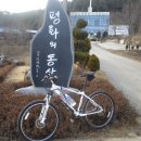 평화의동산 Daum카페