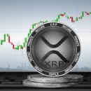 XRP 세계 알트코인 검색 순위 3위 … 이더리움, 도지코인 다음 이미지