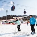 비발디파크