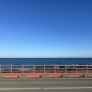 하도리움 제주독채 감성숙소 이미지