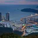 장산막걸리 이미지