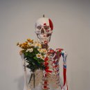 유어바디 이미지