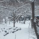 각화산민박 이미지