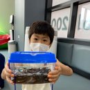 꿈나무태권도 이미지