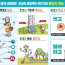 위드펫종합동물병원 이미지