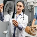 서울앤 동물병원 이미지