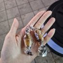 창원 늦게까지 영업 하는 고깃집/저녁 맛집 미진 축산 창원 봉곡점 내돈내산 후기