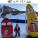 대관령 아이랑 여행 썰매장 있고 눈이 많이 있는 숙소 알펜시아리조트