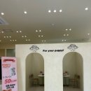 퍼피애견샵 이미지