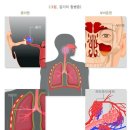 키즈웰소아청소년과의원 이미지