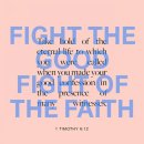 싸움(Fight) 이미지