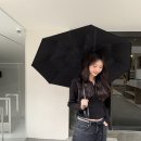 위시(WISH) 이미지