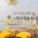 엔조이여행사 이미지