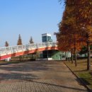 양지-3101 이미지