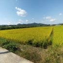 중동리 이미지