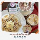 자금동주민센터 | 의정부 애견동반 카페, 아이와 함께 가기 좋은 크로플 맛집 금오동 하우두유두