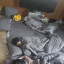 사천케이블카자연휴양림(사천) | 사천케이블카자연휴양림 15호 후기 관상어교육센터 충무김밥 노산공원 청널문화오름 대방진굴항