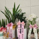 탕정검도관 네이버블로그