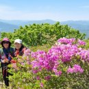 황매산군립공원 이미지