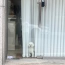 속초시배드민턴협회 | 하늘에서 마침 쓰레기가 내애려어~~ 뭔가 잘 못될것같은 예감🥲인 23년 하반기 일기