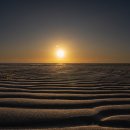 2025 해돋이 행사 이미지