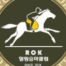 ROK힐링승마