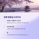 양수대교~세미원입구 이미지