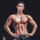 알브이디핏