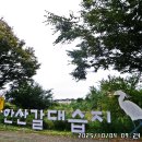 갈대습지공원 Daum카페