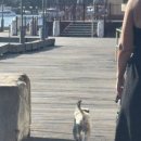 해지연 | 해지연 시드니🇦🇺 (3)
