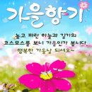 세계로법무사 이미지